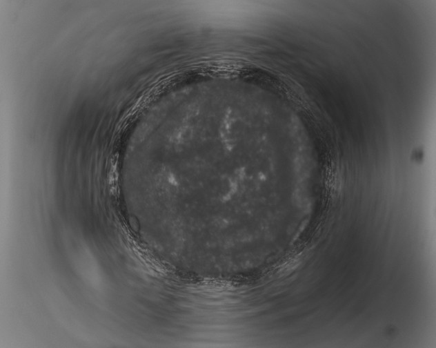 X0000116100818200912140955