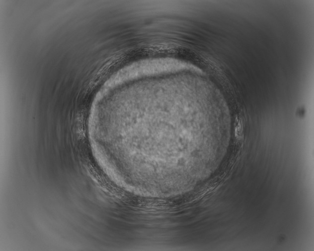 X0000116100819200912140955