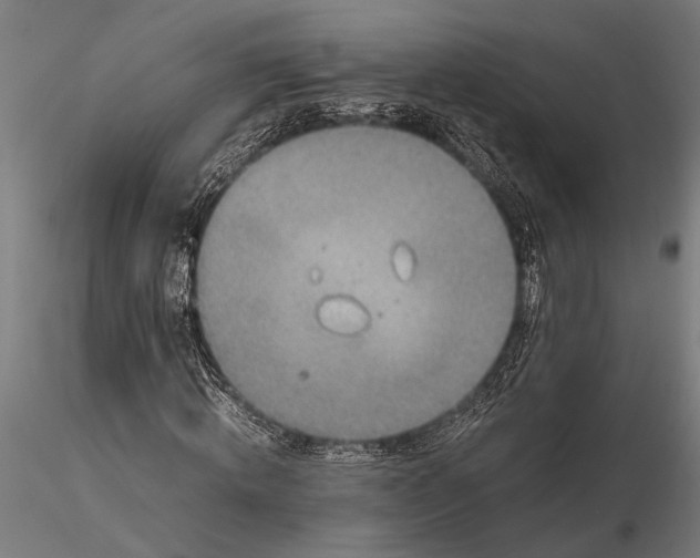 X0000116100820200912140955