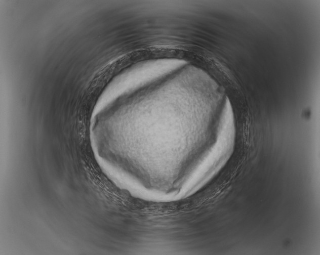 X0000116100821200912140955