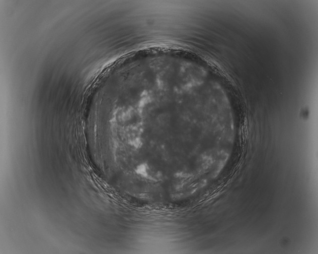 X0000116100822200912140955