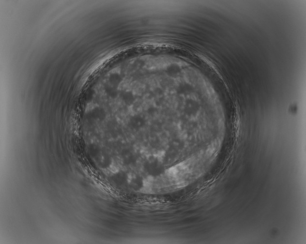 X0000116100823200912140955