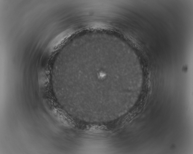 X0000116100824200912140955