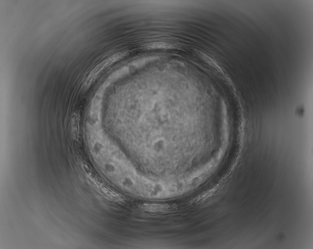 X0000116100825200912140955