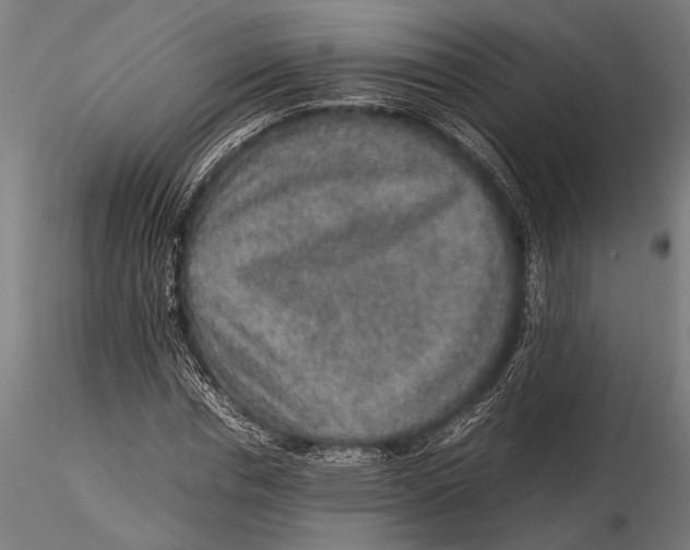 X0000116100826200912140955