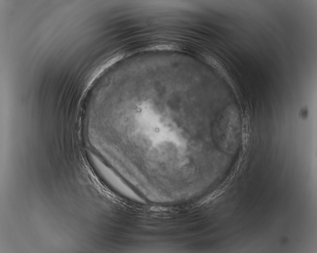 X0000116100827200912140955