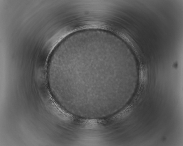 X0000116100828200912140955