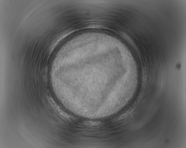 X0000116100831200912140955