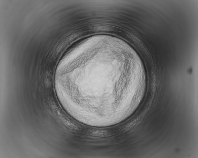 X0000116100833200912140955