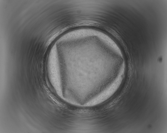 X0000116100834200912140955