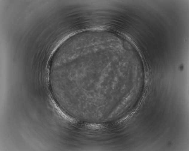 X0000116100835200912140955