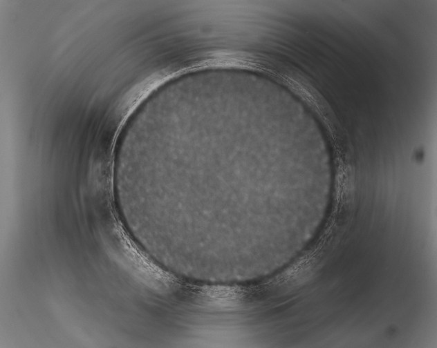 X0000116100836200912140955