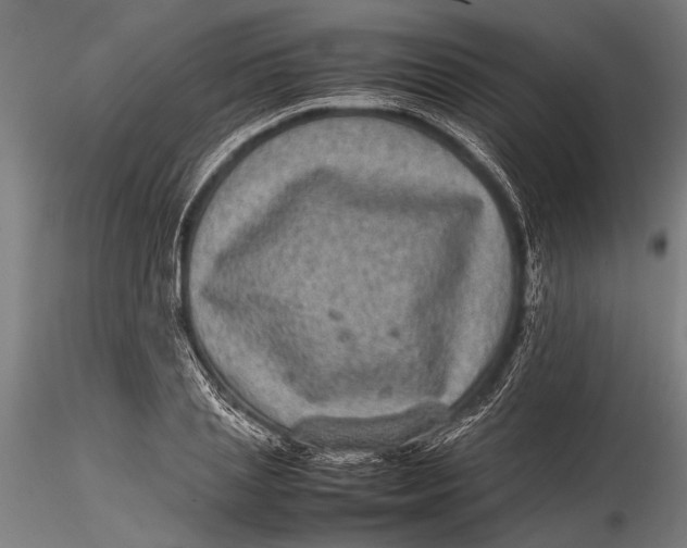 X0000116100837200912140955