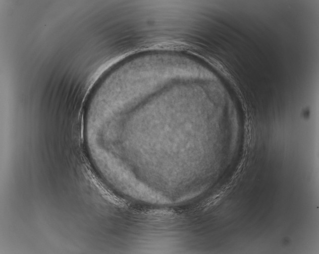 X0000116100838200912140955