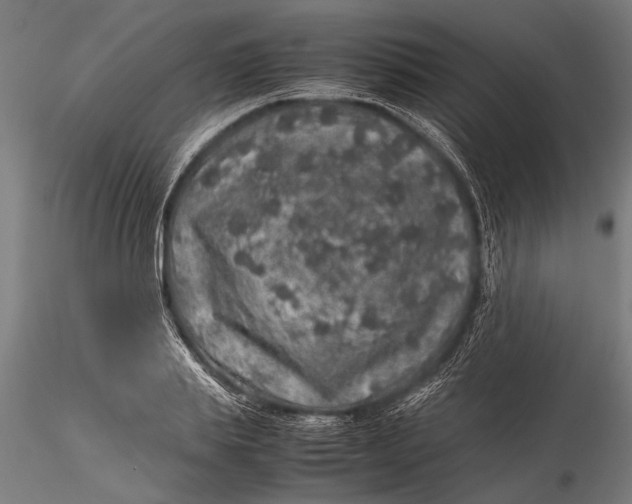 X0000116100839200912140955