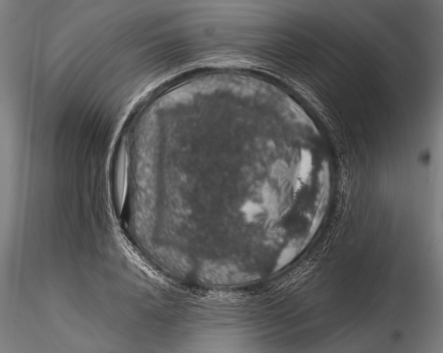 X0000116100840200912140955