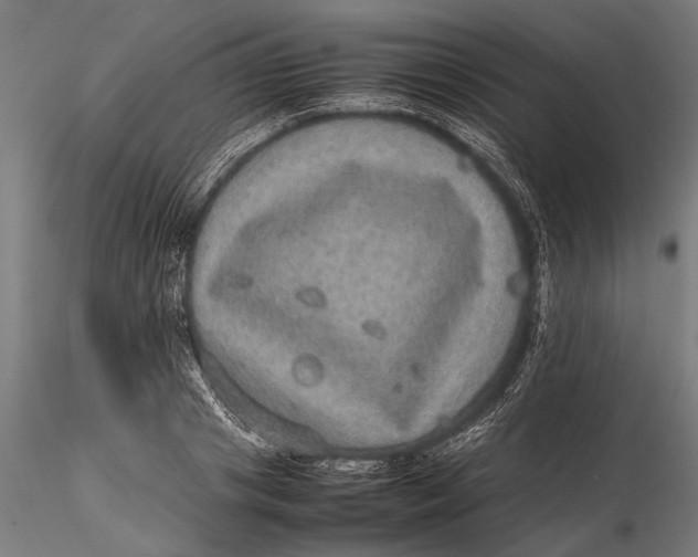 X0000116100841200912140955