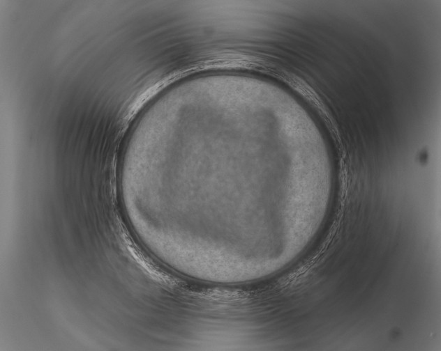 X0000116100842200912140955