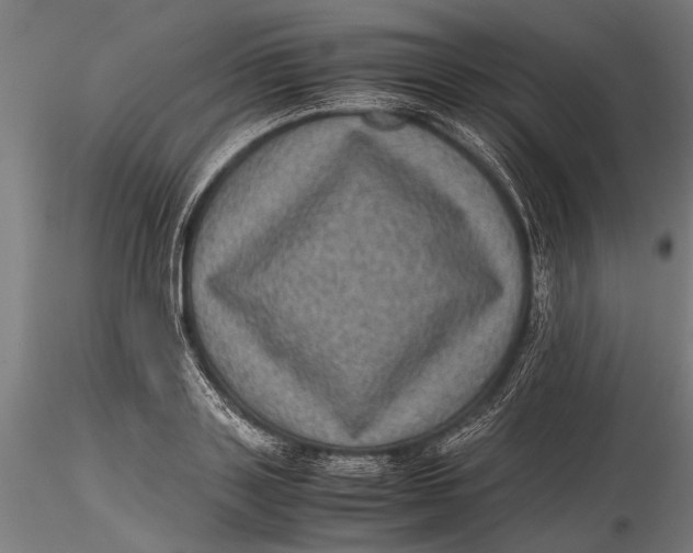 X0000116100843200912140955