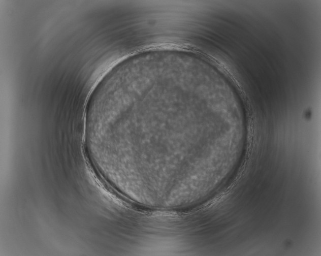 X0000116100844200912140955