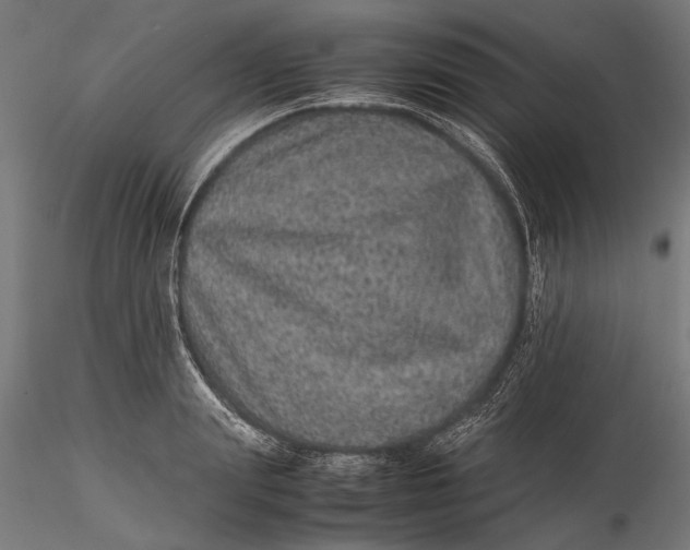 X0000116100847200912140955