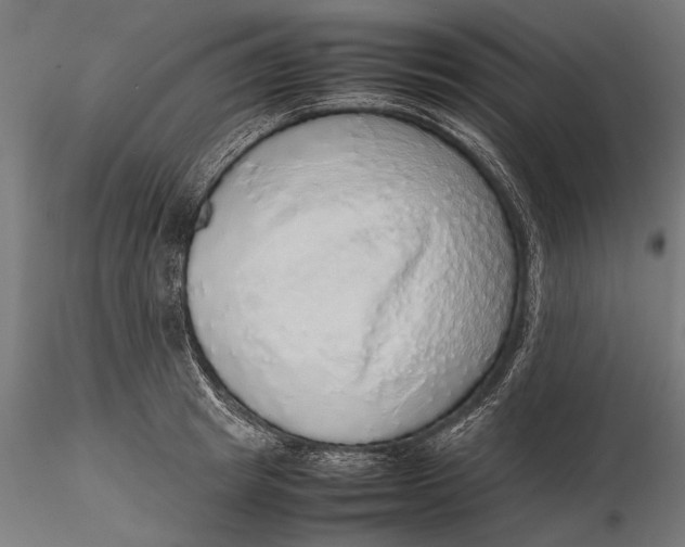 X0000116100849200912140955