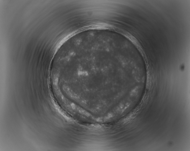 X0000116100850200912140955