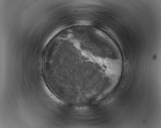 X0000116100851200912140955