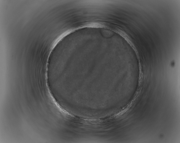 X0000116100853200912140955