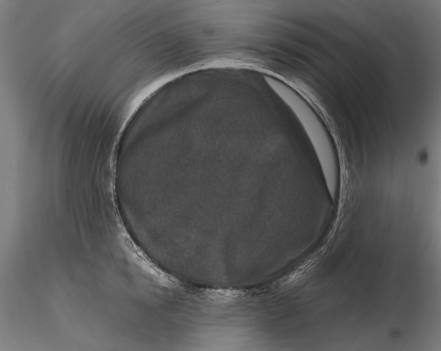 X0000116100854200912140955