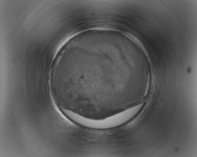 X0000116100855200912140955