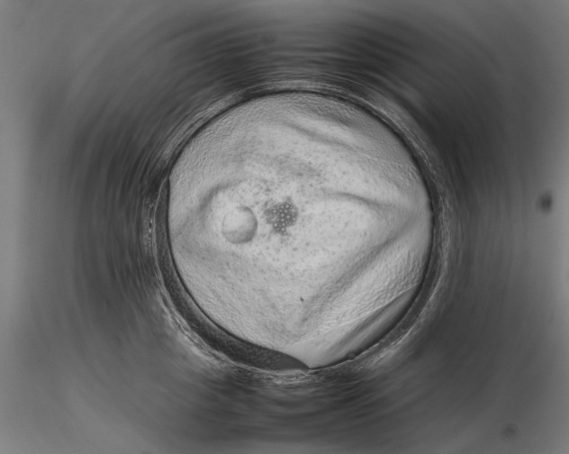 X0000116100857200912140955