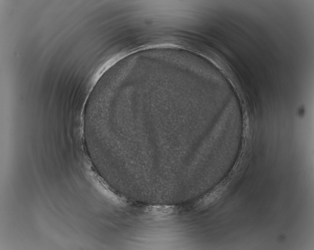 X0000116100858200912140955