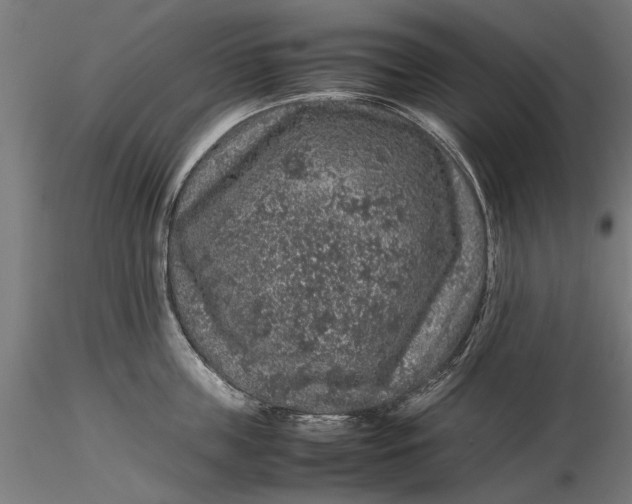 X0000116100859200912140955