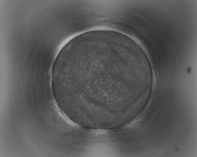 X0000116100862200912140955