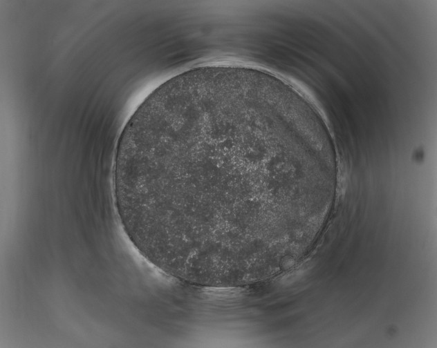 X0000116100863200912140955