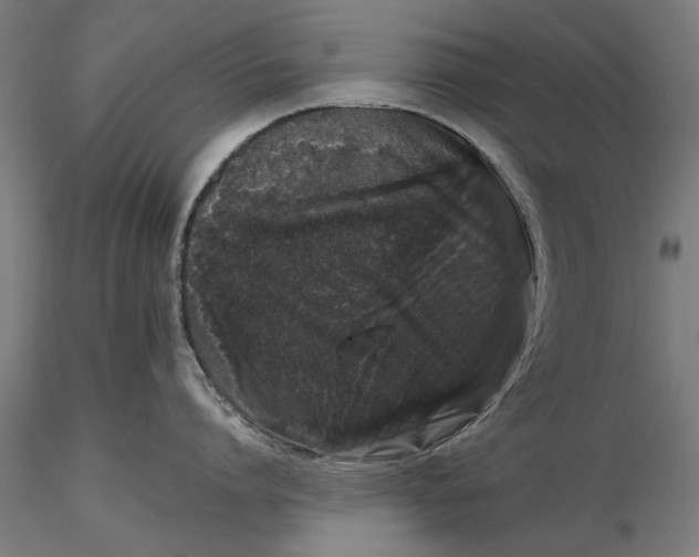 X0000116100864200912140955