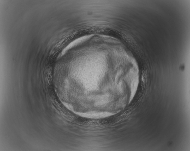 X0000116100867200912140955