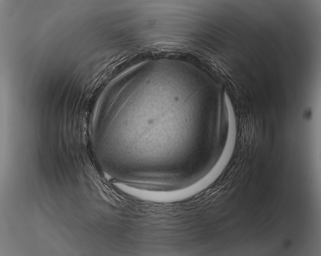 X0000116100868200912140955