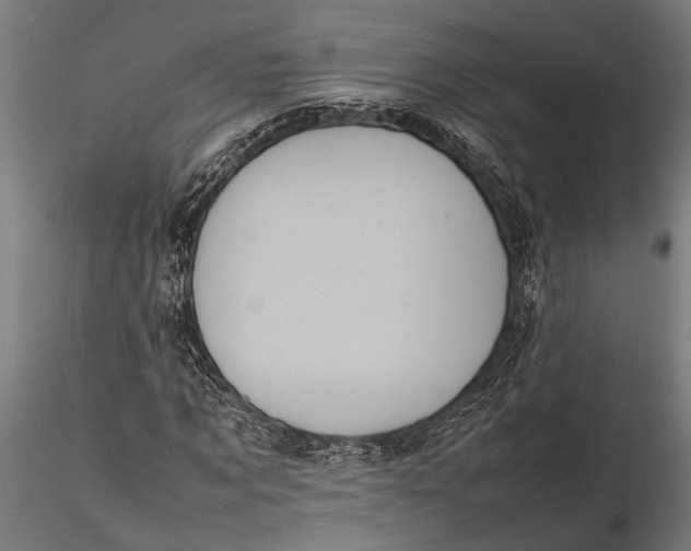 X0000116100869200912140955