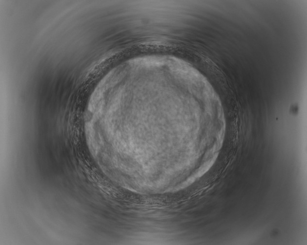 X0000116100870200912140955