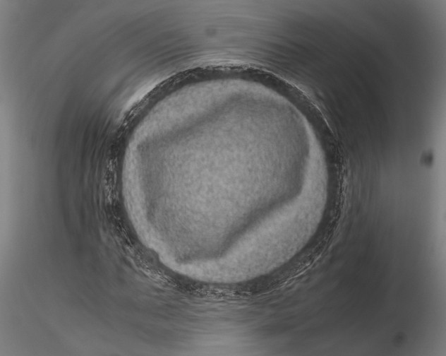 X0000116100871200912140955