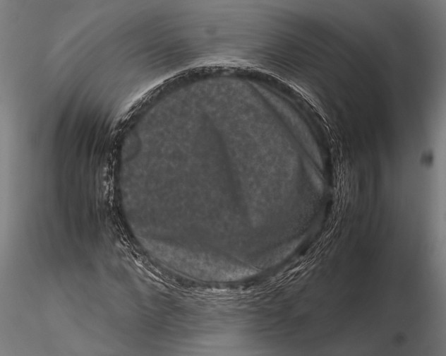 X0000116100872200912140955