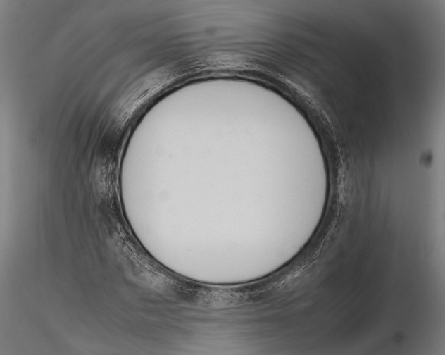 X0000116100873200912140955