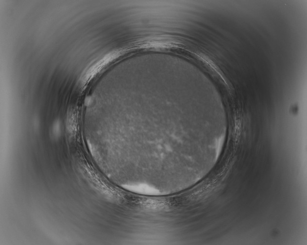 X0000116100874200912140955