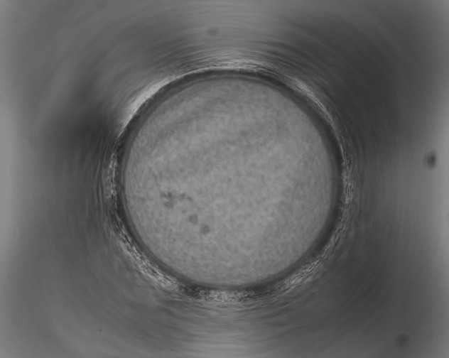 X0000116100875200912140954