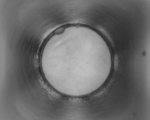 X0000116100876200912140954