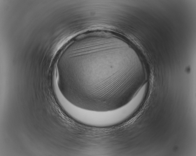 X0000116100877200912140954