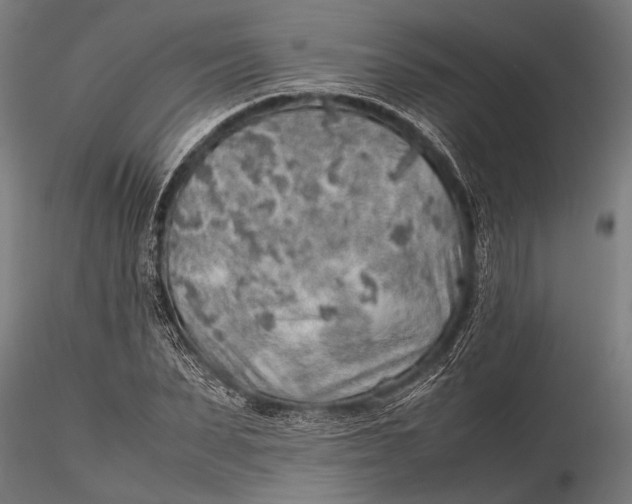 X0000116100879200912140954