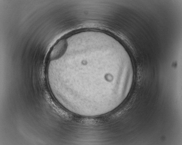 X0000116100880200912140954